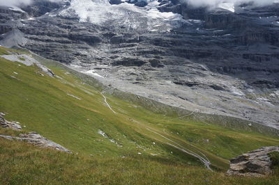 Scenic view of grass and mountains