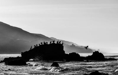 Silhouette people on rock by sea against sky