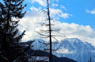 Low angle view of snowcapped mountain against sky