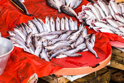 High angle view of fish for sale at market stall