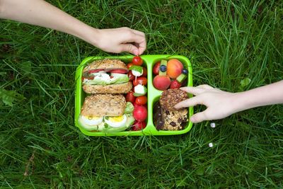 Cropped hands of people with lunch box on grassy field