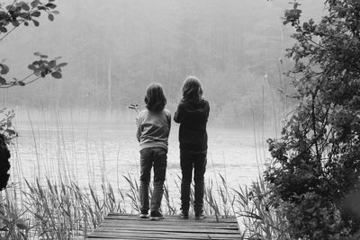 Rear view of brothers standing on jetty in lake