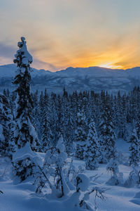 Snow covered landscape against sky during sunset