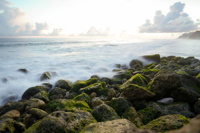 Waves splashing on rocks