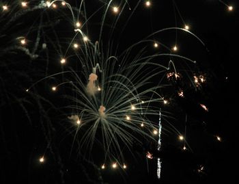 Firework display at night