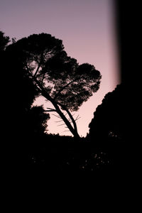 Silhouette trees against sky at sunset