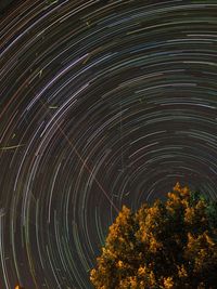 Low angle view of tree against star trails at night