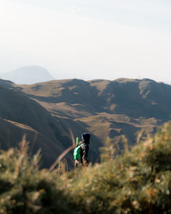Rear view of person on mountain against sky