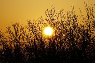 Scenic view of sunset