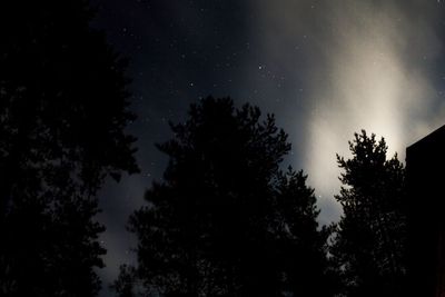 Low angle view of silhouette trees against sky at night