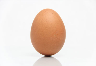 Close-up of egg against white background