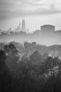 Skyscrapers and trees in city against sky during rain