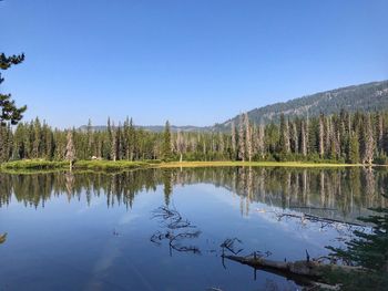 Scenic view of lake against clear blue sky