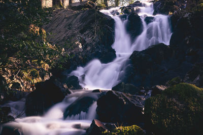 Waterfall in forest