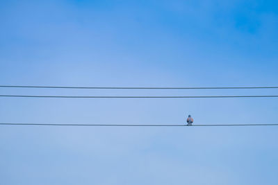 Low angle view of power lines against clear blue sky