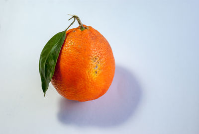 Close-up of orange fruit against white background
