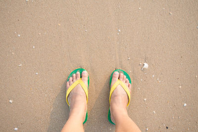 Low section of woman wearing flip-flops standing on shore