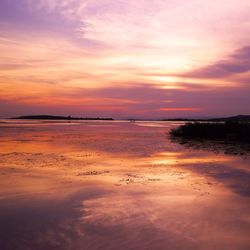 Scenic view of sea at sunset