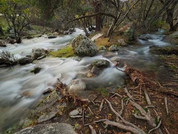 Stream flowing through rocks in forest