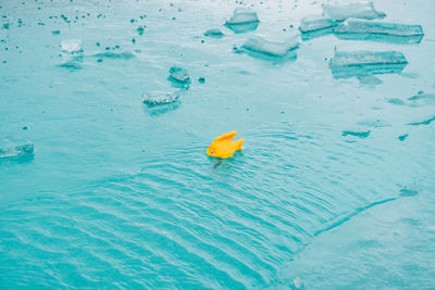 High angle view of toy in water