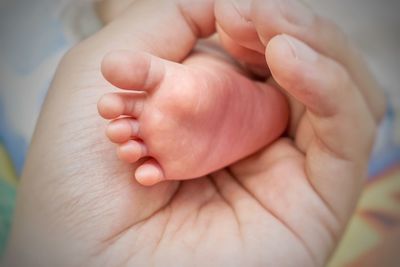 Cropped hand of parent holding baby foot