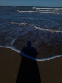 High angle view of man standing on beach