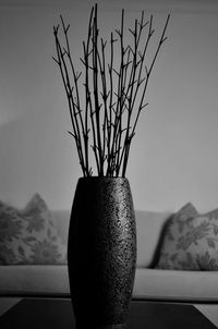 Close-up of potted plant on table at home