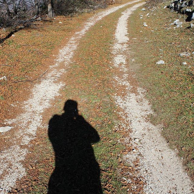 shadow, road, the way forward, street, asphalt, focus on shadow, transportation, sunlight, high angle view, unrecognizable person, lifestyles, walking, road marking, diminishing perspective, outdoors, day, rear view, men