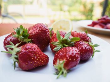 Close-up of strawberries in plate on table