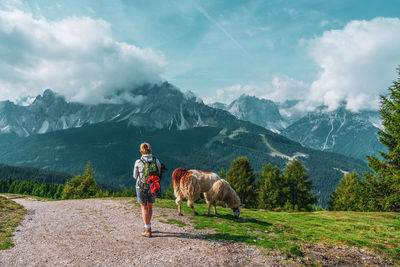Backpacker and llamas on hiking trails in the dolomites, italy.