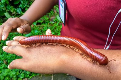 Close-up of hands holding girl