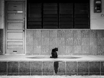 View of cat sitting against house