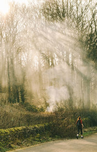 Rear view of man walking on tree in forest