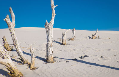 Scenic view of  sand against clear blue sky