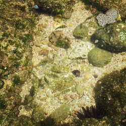 Rocks in sea