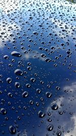 Close-up of water drops on leaf