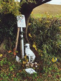 Information sign on field