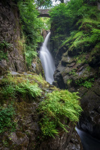 River flowing through rocks
