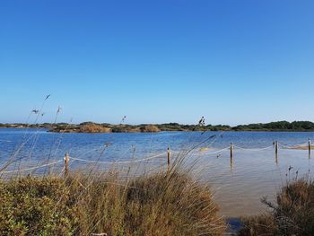 Scenic view of sea against clear blue sky