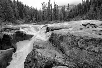 Scenic view of waterfall in forest