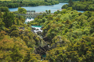 High angle view of trees by sea