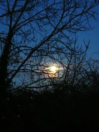 Low angle view of silhouette bare trees against sky