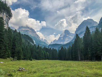 Scenic view of trees and mountains against sky