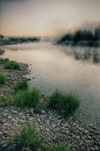 Scenic view of landscape