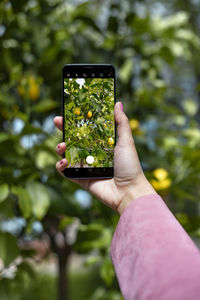 Hand holding mobile phone