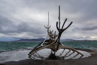 Driftwood on beach against sky