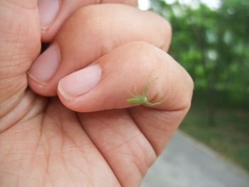 Close-up of man holding leaf