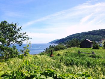 Scenic view of farm against sky