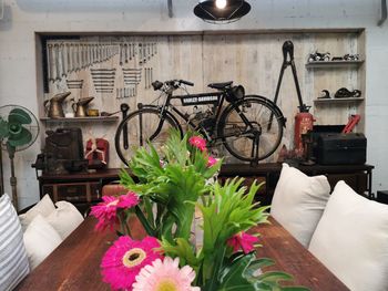 View of potted plants on table