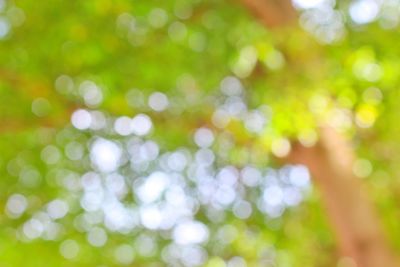 Defocused image of illuminated lights